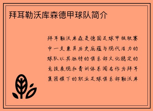 拜耳勒沃库森德甲球队简介